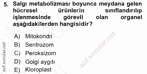 5. soru: Salgı metabolizması boyunca meydana gelen hücresel ürünlerin sınıflandırılıp işlenmesinde görevli olan organel aşağıd…