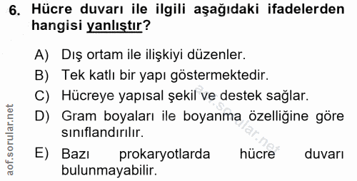 6. soru: Hücre duvarı ile ilgili aşağıdaki ifadelerden hangisi yanlıştır? A) Dış ortam ile ilişkiyi düzenler. B) Tek katlı bir…