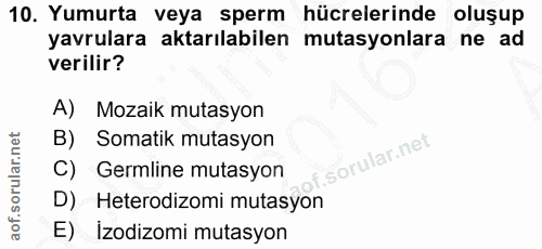 10. soru: Yumurta veya sperm hücrelerinde oluşup yavrulara aktarılabilen mutasyonlara ne ad verilir? A) Mozaik mutasyon B) Soma…