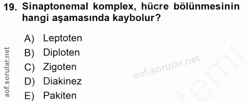 19. soru: Sinaptonemal komplex, hücre bölünmesinin hangi aşamasında kaybolur? A) Leptoten B) Diploten C) Zigoten D) Diakinez E)…
