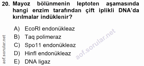 20. soru: Mayoz bölünmenin leptoten aşamasında hangi enzim tarafından çift iplikli DNA'da kırılmalar indüklenir? A) EcoRI endon…