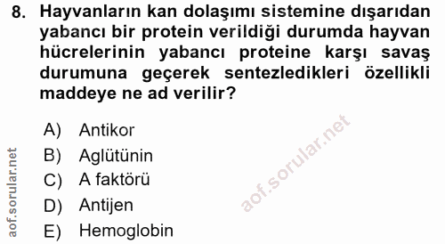8. soru: Hayvanların kan dolaşımı sistemine dışarıdan yabancı bir protein verildiği durumda hayvan hücrelerinin yabancı protei…