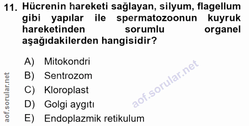 11. soru: Hücrenin hareketi sağlayan, silyum, flagellum gibi yapılar ile spermatozoonun kuyruk hareketinden sorumlu organel aşa…