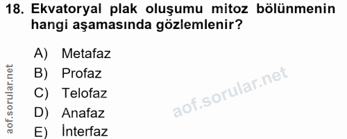 18. soru: Ekvatoryal plak oluşumu mitoz bölünmenin hangi aşamasında gözlemlenir? A) Metafaz B) Profaz C) Telofaz D) Anafaz E) I…