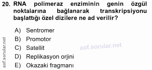 20. soru: RNA polimeraz enziminin genin özgül noktalarına bağlanarak transkripsiyonu başlattığı özel dizilere ne ad verilir? A)…