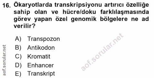 16. soru: Ökaryotlarda transkripsiyonu artırıcı özelliğe sahip olan ve hücre/doku farklılaşmasında görev yapan özel genomik böl…