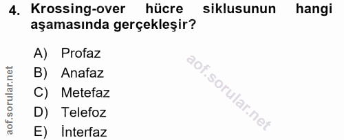 4. soru: Krosing-over hücre siklusunun hangi aşamasında gerçekleşir? A) Profaz B) Anafaz C) Metefaz D) Telefoz E) interfaz