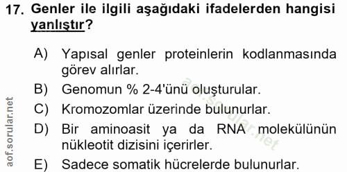 17. soru: Genler ile ilgili aşağıdaki ifadelerden hangisi yanlıştır? A) Yapısal genler proteinlerin kodlanmasında görev alırlar…