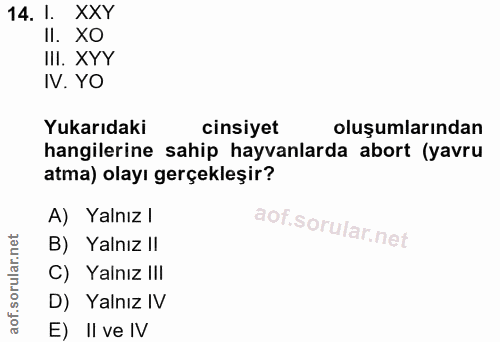 14. soru: l. XXY Il. XO IlI. XYY IV. YO Yukarıdaki cinsiyet oluşumlarından hangilerine sahip hayvanlarda abort (yavru atma) ola…