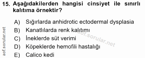 15. soru: Aşağıdakilerden hangisi cinsiyet ile sınırlı kalıtıma örnektir? A) Sığırlarda anhidrotic ectodermal dysplasia B) Kana…