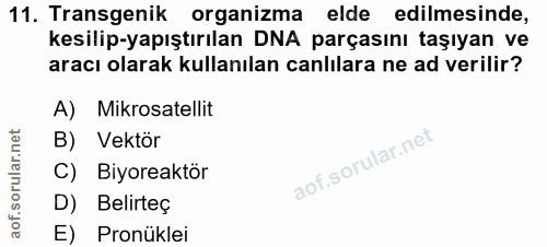 11. soru: Transgenik organizma elde edilmesinde, kesilip-yapıştırılan DNA parçasını taşıyan ve aracı olarak kullanılan canlılar…