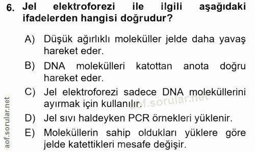 6. soru: Jel elektroforezi ile ilgili aşağıdaki ifadelerden hangisi doğrudur? A) Düşük ağırlıklı moleküller jelde daha yavaş h…