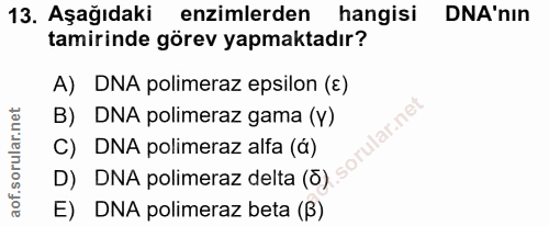 13. soru: Aşağıdaki enzimlerden hangisi DNA'nın tamirinde görev yapmaktadır? A) DNA polimeraz epsilon (E) B) DNA polimeraz gama…