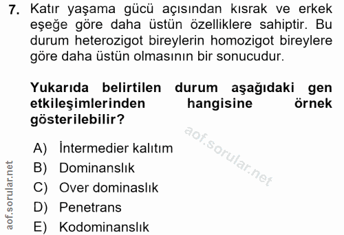 7. soru: Katır yaşama gücü açısından kısrak ve erkek eşeğe göre daha üstün özelliklere sahiptir. Bu durum heterozigot bireyler…
