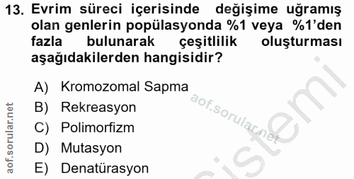 13. soru: Evrim süreci içerisinde değişime uğramış olan genlerin popülasyonda %1 veya %1'den fazla bulunarak çeşitlilik oluştur…