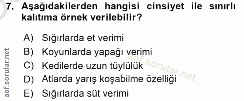 7. soru: Aşağıdakilerden hangisi cinsiyet ile sınırlı kalıtıma örnek verilebilir? A) Sığırlarda et verimi B) Koyunlarda yapağı…
