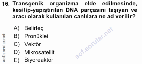 16. soru: Transgenik organizma elde edilmesinde, kesilip-yapıştırılan DNA parçasını taşıyan ve aracı olarak kullanılan canlılar…