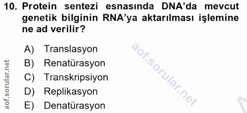 10. soru: Protein sentezi esnasında DNA'da mevcut genetik bilginin RA'ya aktarılması işlemine ne ad verilir? A) Translasyon B)…