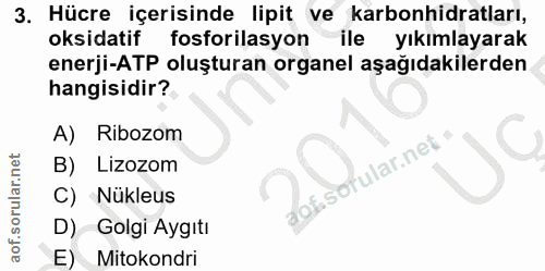 3. soru: Hücre içerisinde lipit ve karbonhidratları, oksidatif fosforilasyon ile yıkılayarak enerji-ATP oluşturan organel aşağ…