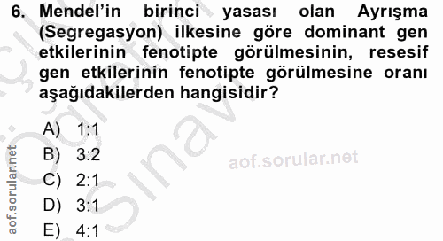 6. soru: Mendel'in birinci yasası olan Ayrışma (Segregasyon) ilkesine göre dominant gen etkilerinin fenotipte görülmesinin, re…