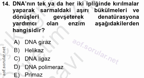 14. soru: DNA'nın tek ya da her iki ipliğinde kırılmalar yaparak sarmaldaki aşırı bükülmeleri ve dönüşleri gevşeterek denatüras…