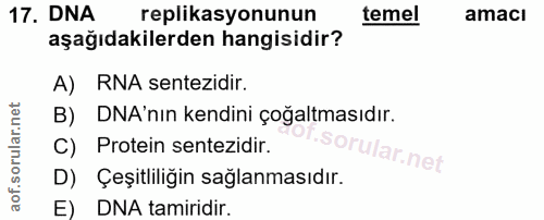 17. soru: DNA replikasyonunun temel amacı aşağıdakilerden hangisidir? A) RNA sentezidir. B) DNA'nın kendini çoğaltmasıdır. C) P…