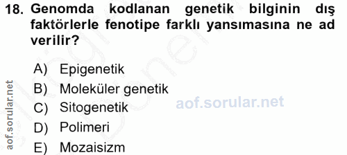 18. soru: Genomda kodlanan genetik bilginin dış faktörlerle fenotipe farklı yansımasına ne ad verilir? A) Epigenetik B) Molekül…