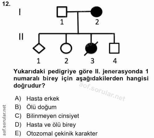 12. soru: 2 1 2 3 4 Yukarıdaki pedigriye göre II. jenerasyonda 1 numaralı birey için aşağıdakilerden hangisi doğrudur? orular.n…