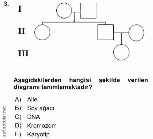 3. soru: I II II Aşağıdakilerden hangisi şekilde verilen diagramı tanımlamaktadır? A) Allel B) Soy ağacı C) DNA D) Kromozom E)…