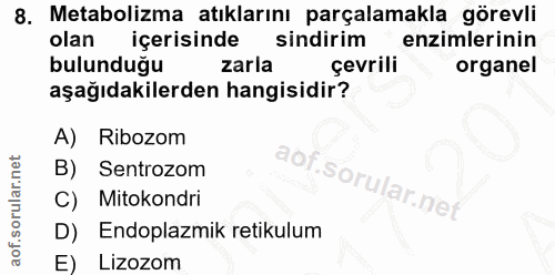 8. soru: Metabolizma atıklarını parçalamakla görevli olan içerisinde sindirim enzimlerinin bulunduğu zarla çevrili organel aşa…