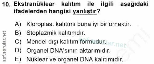 10. soru: Ekstranüklear kalıtım ile ilgili aşağıdaki ifadelerden hangisi yanlıştır? A) Kloroplast kalıtımı buna iyi bir örnekti…