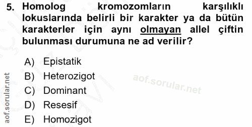 5. soru: Homolog kromozomların karşılıklı lokuslarında belirli bir karakter ya da bütün karakterler için aynı olmayan allel çi…