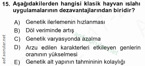 15. soru: Aşağıdakilerden hangisi klasik hayvan ıslahı uygulamalarının dezavantajlarından biridir? A) Genetik ilerlemenin hızla…