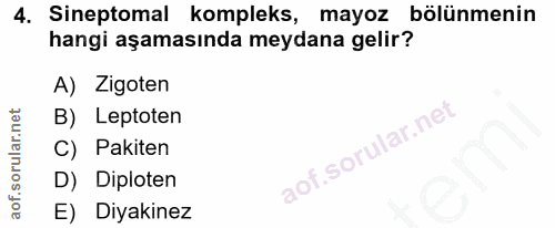 4. soru: Sineptomal kompleks, mayoz bölünmenin hangi aşamasında meydana gelir? A) Zigoten B) Leptoten C) Pakiten D) Diploten E…