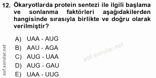 12. soru: Ökaryotlarda protein sentezi ile ilgili başlama ve sonlanma faktörleri aşağıdakilerden hangisinde sırasıyla birlikte…