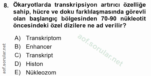 8. soru: Ökaryotlarda transkripsiyon artırıcı özelliğe sahip, hücre ve doku farklılaşmasında görevli olan başlangıç bölgesinde…