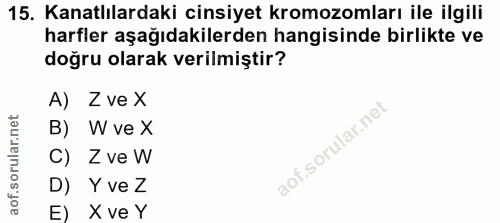 15. soru: Kanatlılardaki cinsiyet kromozomları ile ilgili harfler aşağıdakilerden hangisinde birlikte ve doğru olarak verilmişt…