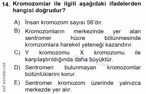 14. soru: Kromozomlar ile ilgili aşağıdaki ifadelerden hangisi doğrudur? A) Insan kromozom sayısı 56'dır. B) Kromozomların merk…