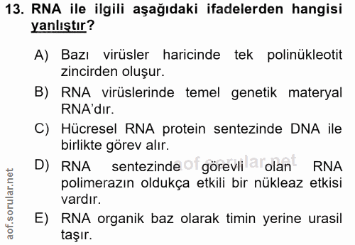 13. soru: RNA ile ilgili aşağıdaki ifadelerden hangisi yanlıştır? A) Bazı virüsler haricinde tek polinükleotit zincirden oluşur…