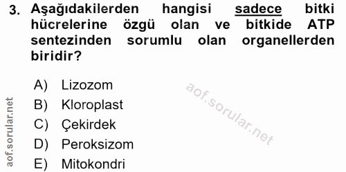 3. soru: Aşağıdakilerden l hangisi sadece bitki hücrelerine özgü olan ve bitkide ATP sentezinden sorumlu olan organellerden bi…