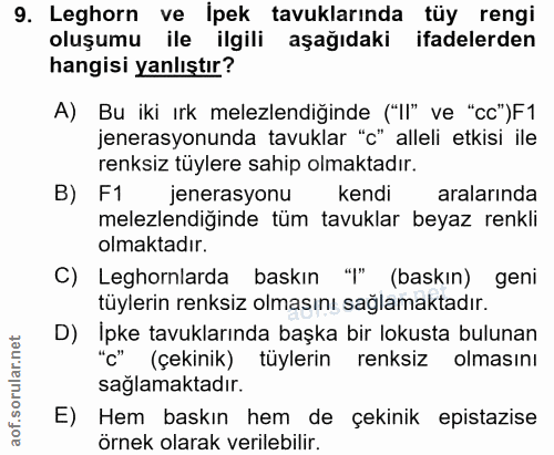 9. soru: Leghorn ve ipek tavuklarında tüy rengi oluşumu ile ilgili aşağıdaki ifadelerden hangisi yanlıştır? A) Bu iki ırk mele…