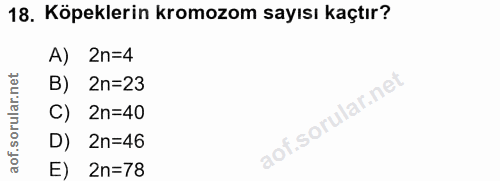 18. soru: Köpeklerin kromozom sayısı kaçtır? A) 2n=4 B) 2n=23 C) 2n=40 D) 2n=46 E) 2n=78