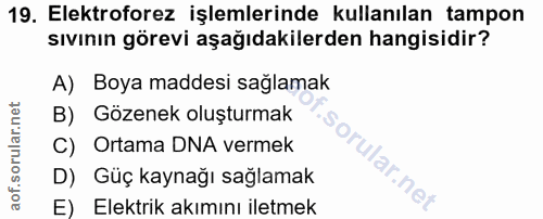 19. soru: Elektroforez işlemlerinde kullanılan tampon sıvının görevi aşağıdakilerden hangisidir? A) Boya maddesi sağlamak B) Gö…