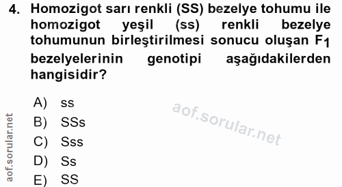 4. soru: Homozigot sarı renkli (SS) bezelye tohumu ile homozigot yeşil (SS) renkli bezelye tohumunun birleştirilmesi sonucu ol…