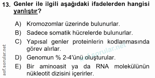 13. soru: Genler ile ilgili aşağıdaki ifadelerden hangisi yanlıştır? A) Kromozomlar üzerinde bulunurlar. B) Sadece somatik hücr…