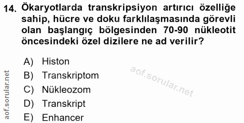 14. soru: Ökaryotlarda transkripsiyon artırıcı özelliğe sahip, hücre ve doku farklılaşmasında görevli olan başlangıç bölgesinde…