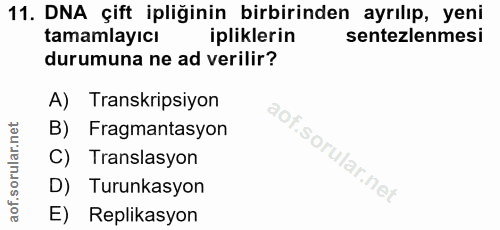 11. soru: DNA çift ipliğinin birbirinden ayrılıp, yeni tamamlayıcı ipliklerin sentezlemesi durumuna ne ad verilir? A) Transkrip…