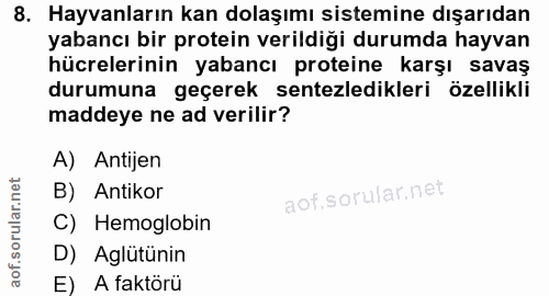 8. soru: Hayvanların kan dolaşımı sistemine dışarıdan yabancı bir protein verildiği durumda hayvan hücrelerinin yabancı protei…