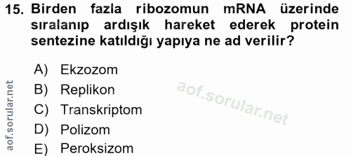 15. soru: Birden fazla ribozomun mRNA üzerinde sıralanıp ardışık hareket ederek protein sentezine katıldığı yapıya ne ad verili…