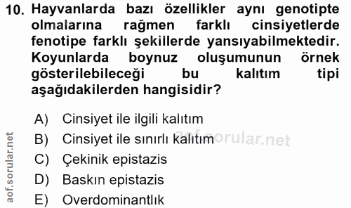 10. soru: Hayvanlarda bazı özellikler aynı genotipte olmalarına rağmen farklı cinsiyetlerde fenotipe farklı şekillerde yansıyab…